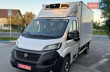 Рефрижератор Fiat Ducato 2020 в 
