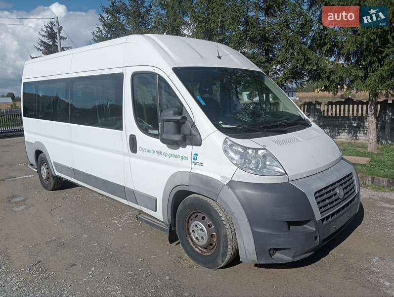 Микроавтобус Fiat Ducato 2013 в  фото Микроавтобус Fiat Ducato 2013 в