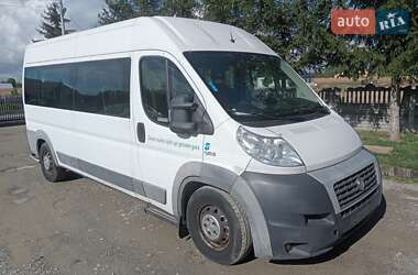 Микроавтобус Fiat Ducato 2013 в  Микроавтобус Fiat Ducato 2013 в