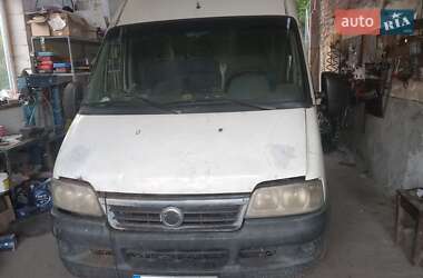 Інші автобуси Fiat Ducato 2003 в Рогатині