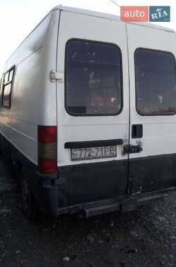 Мікроавтобус Fiat Ducato 1995 в Бедевлі