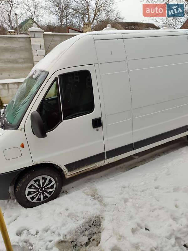 Грузовой фургон Fiat Ducato 2006 в Недобоевцах