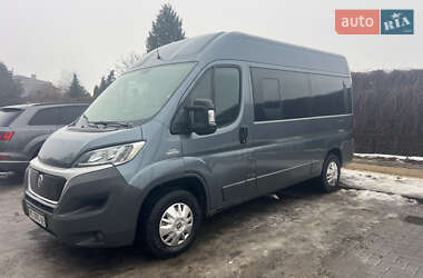 Микроавтобус Fiat Ducato 2014 в Луцке