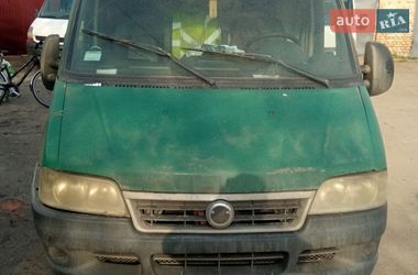Вантажний фургон Fiat Ducato 2003 в Рівному