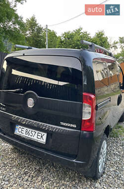 Минивэн Fiat Fiorino 2009 в Вижнице