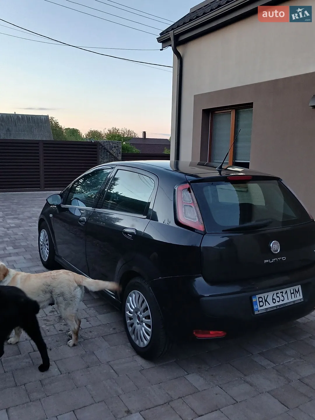 2010 Fiat Punto - мініатюра 18