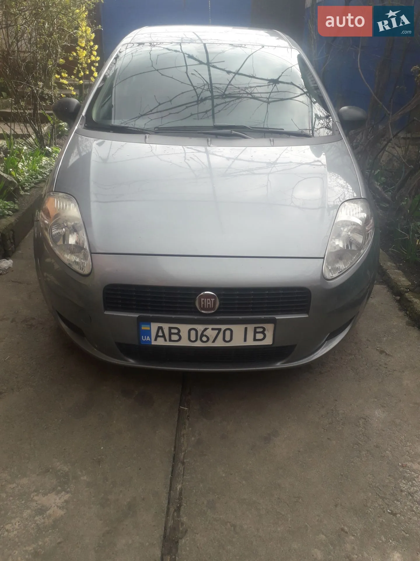 2011 Fiat Punto - фото 1
