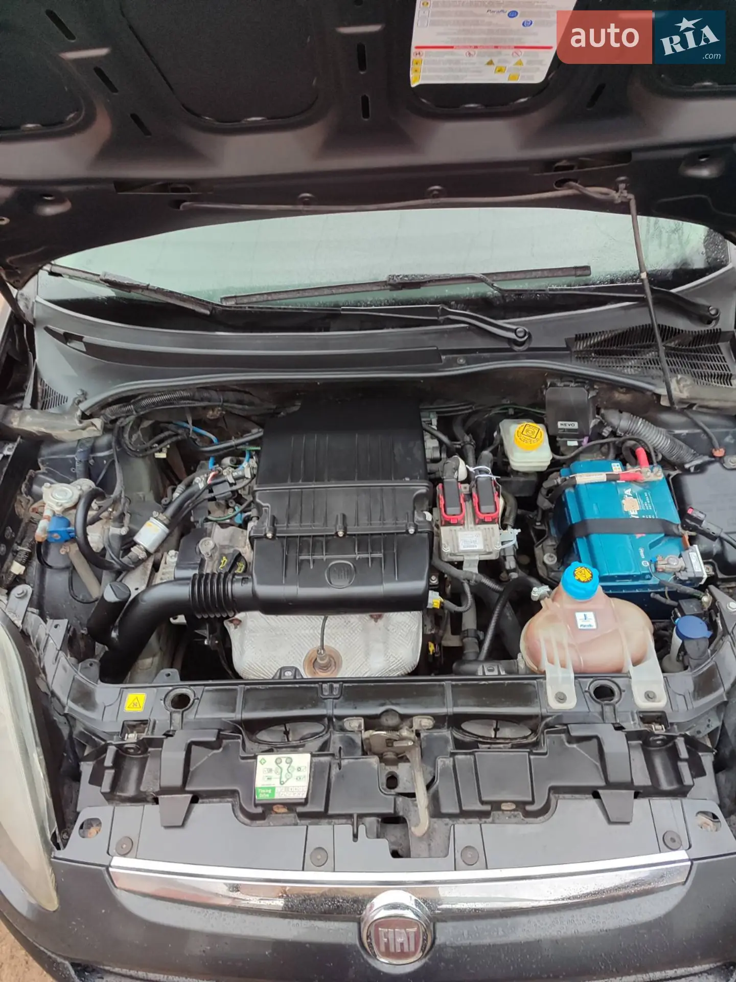 2011 Fiat Punto - мініатюра 13