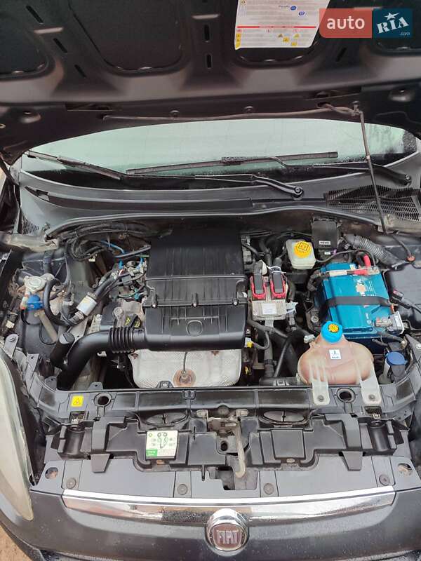 Хэтчбек Fiat Punto 2011 в Шепетовке