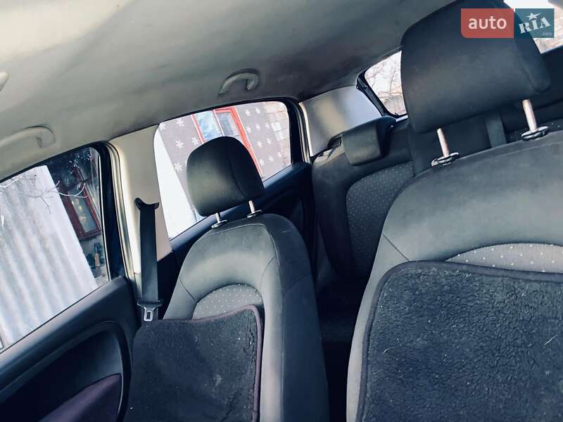Хэтчбек Fiat Punto 2009 в Любашевке фото 5 Хэтчбек Fiat Punto 2009 в Любашевке