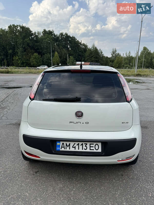 Хэтчбек Fiat Punto 2011 в Житомире фото 32 Хэтчбек Fiat Punto 2011 в Житомире
