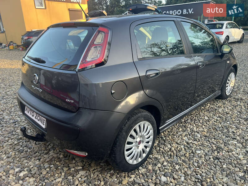 Хэтчбек Fiat Punto 2010 в Коломые