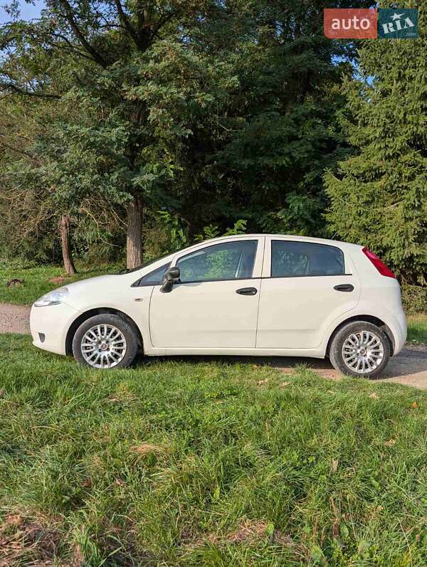 Хэтчбек Fiat Punto 2011 в Тлумаче