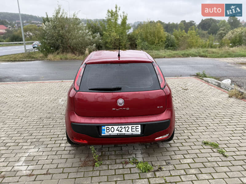 Хетчбек Fiat Punto 2010 в Тернополі