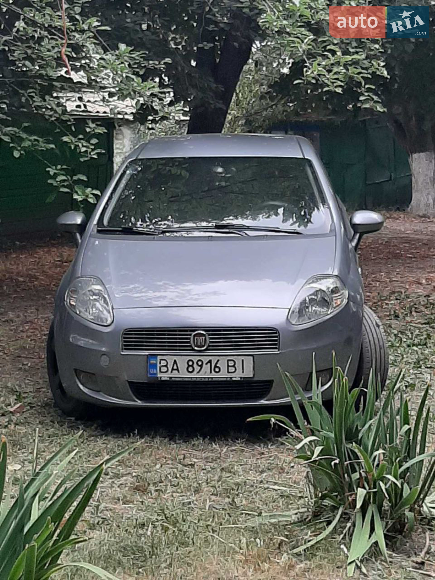 2010 Fiat Punto - мініатюра 2
