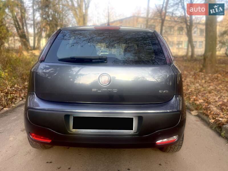 Хэтчбек Fiat Punto 2009 в Тернополе