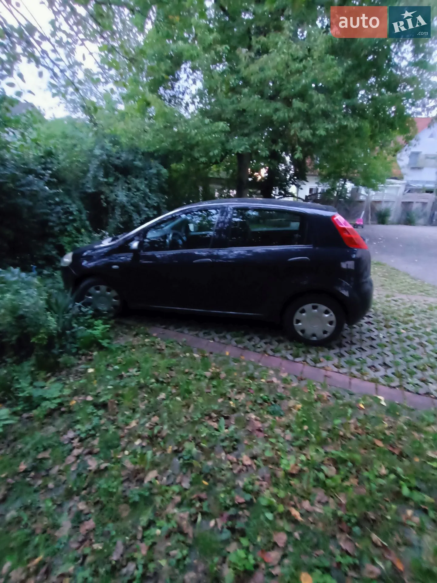 2011 Fiat Punto - мініатюра 3