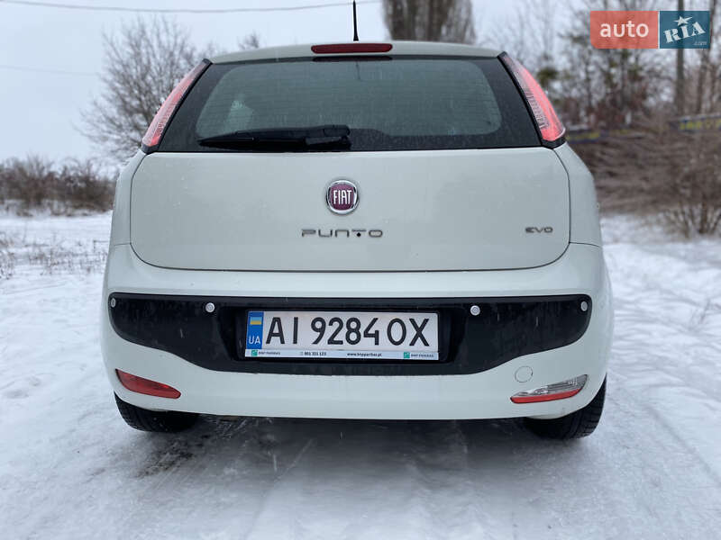 Хэтчбек Fiat Punto 2010 в Ракитном