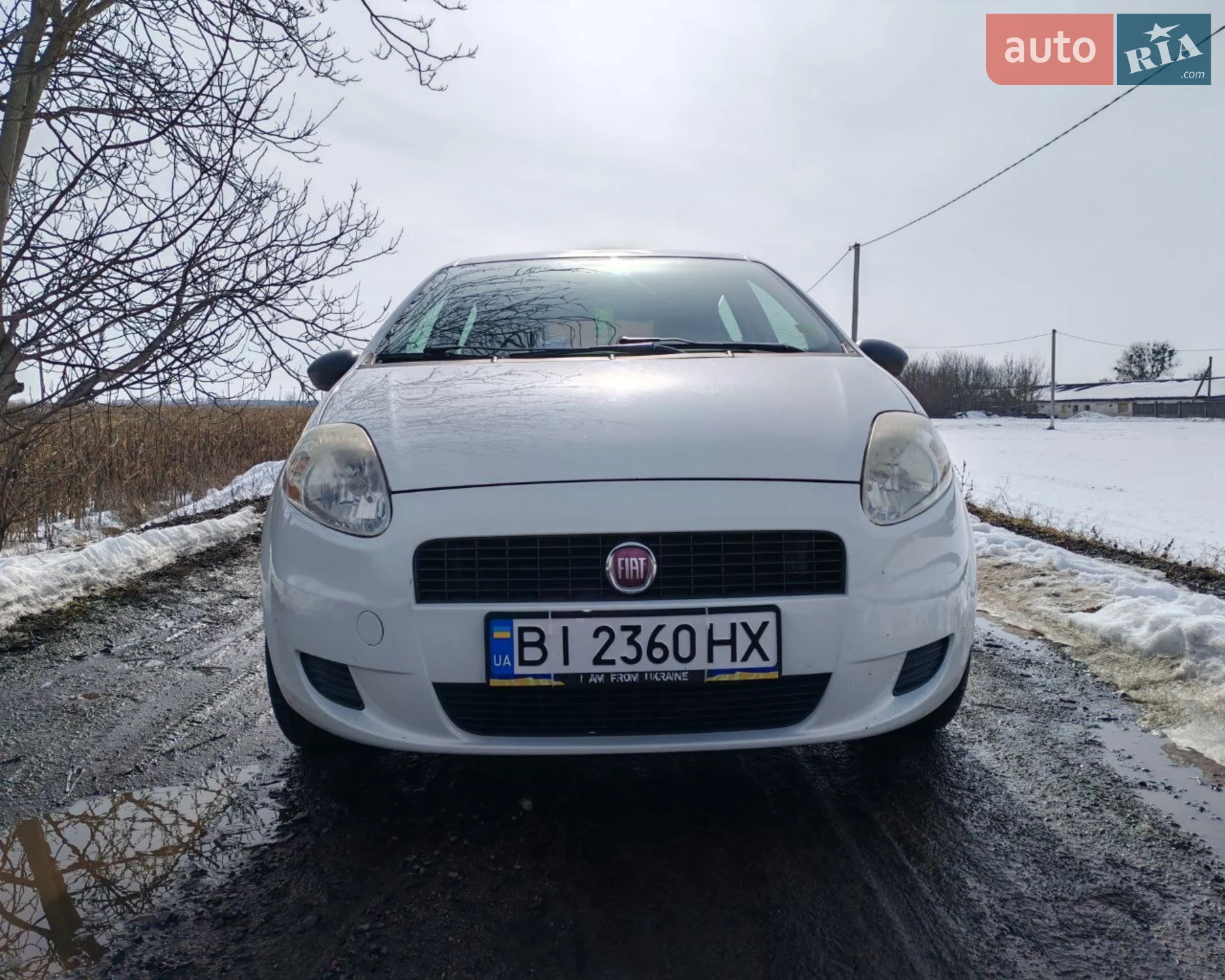 2010 Fiat Punto - мініатюра 2