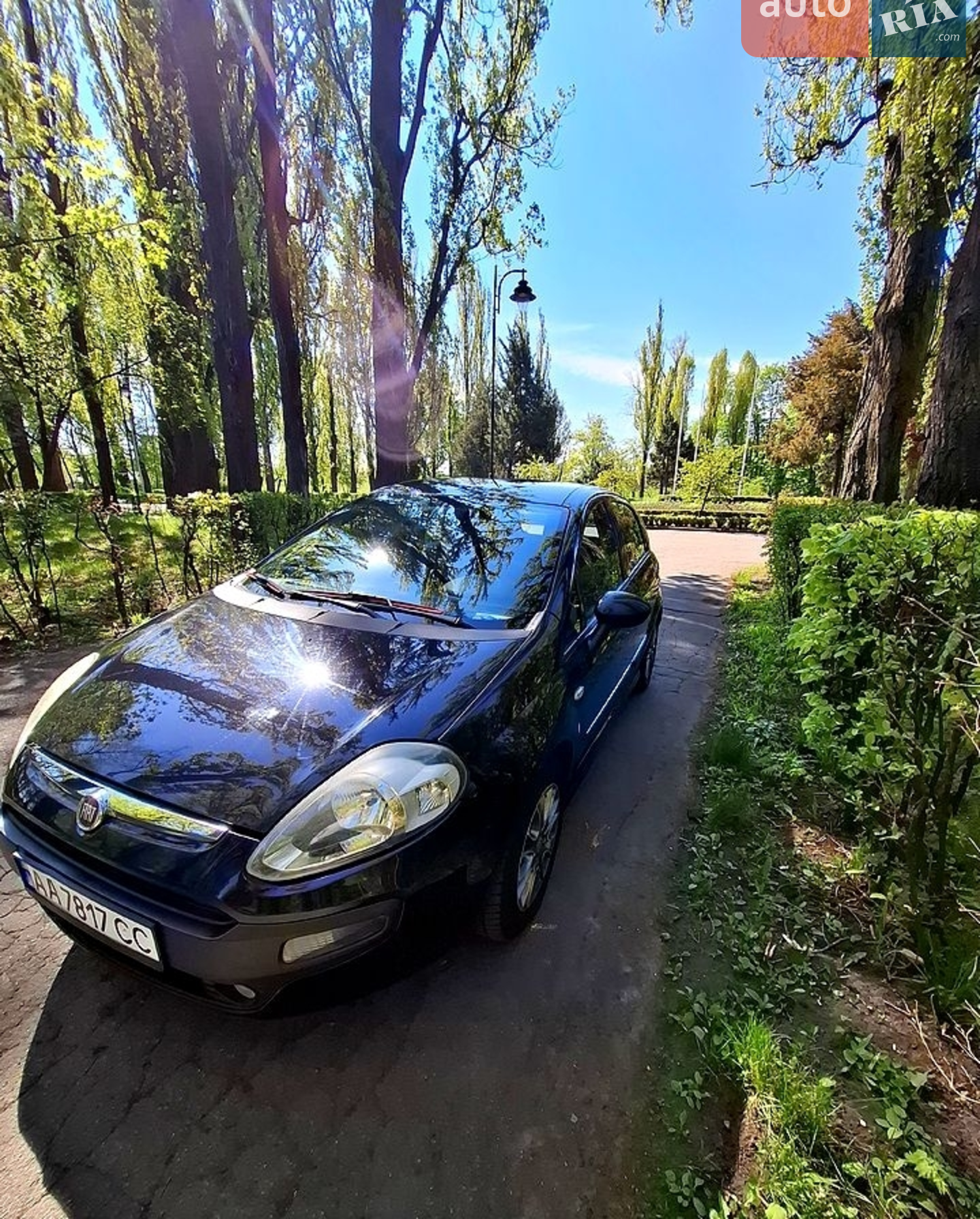 2010 Fiat Punto - мініатюра 3
