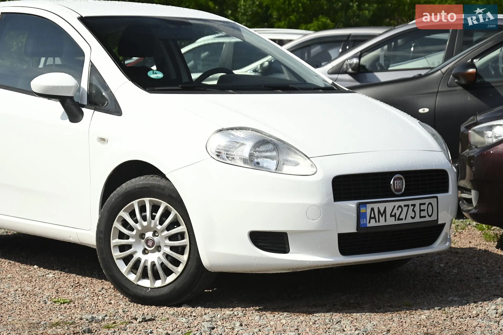 2011 Fiat Punto - мініатюра 3