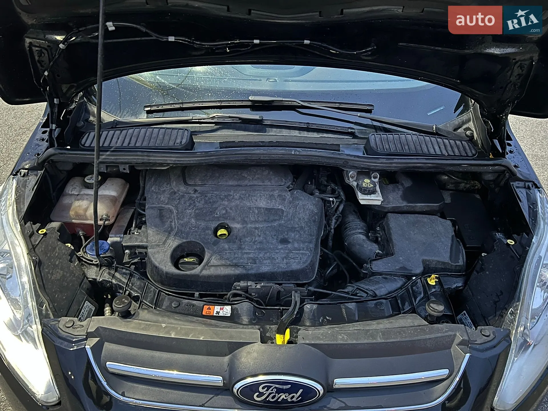 Ford C-Max 2011 VIN WF0JXXWPBJBU75877 фото оголошення 17 з 19