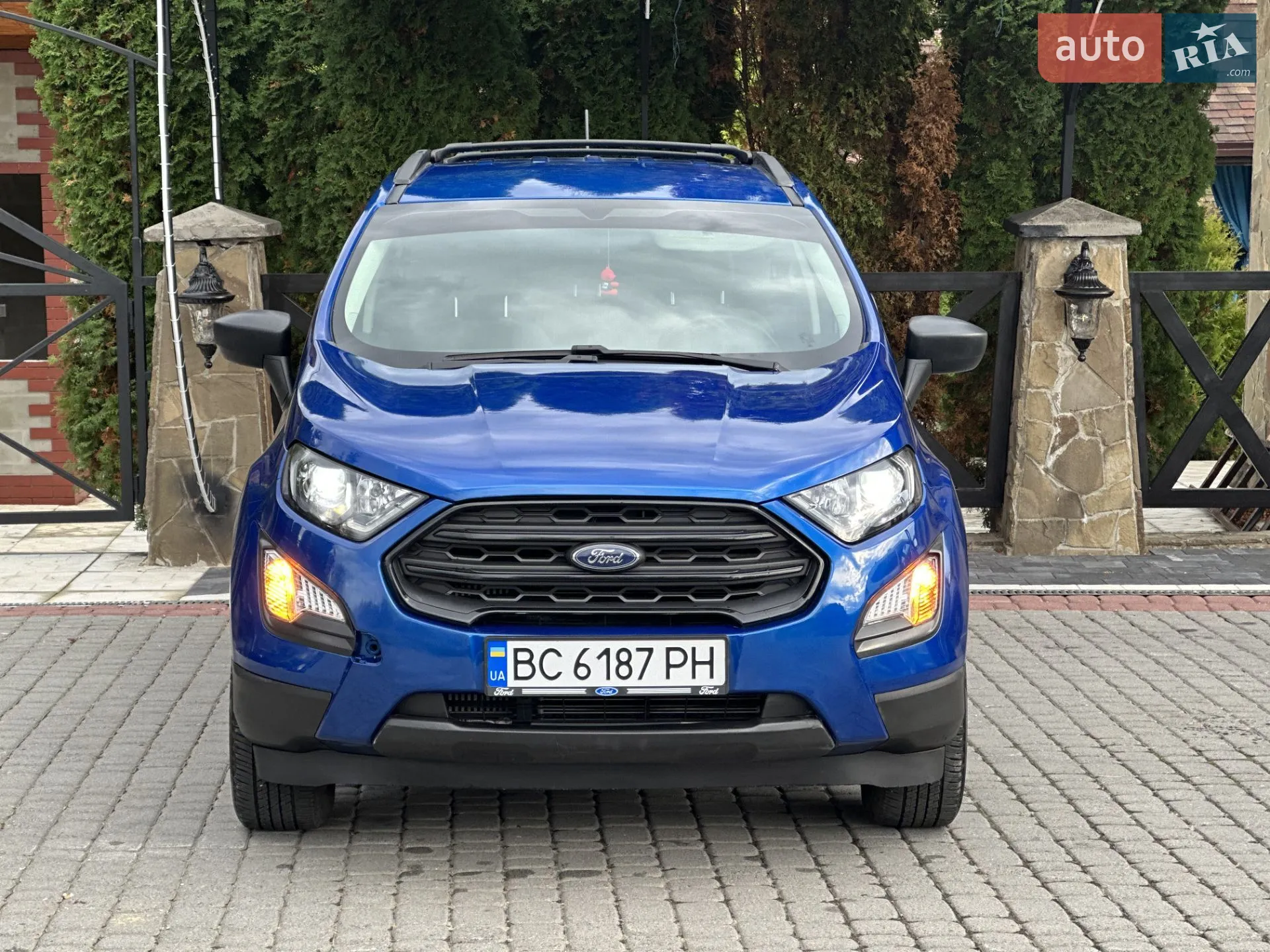 2019 Ford EcoSport - мініатюра 2