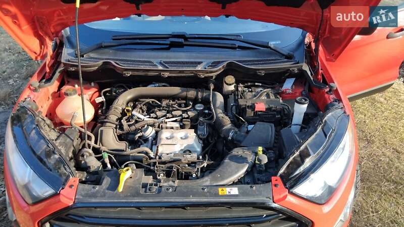Внедорожник / Кроссовер Ford EcoSport 2019 в Черкассах фото 19 Внедорожник / Кроссовер Ford EcoSport 2019 в Черкассах