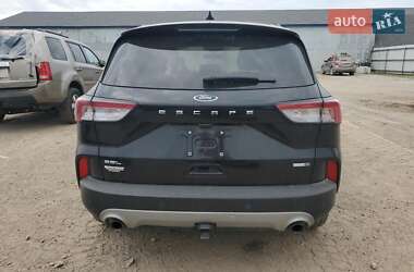 Внедорожник / Кроссовер Ford EcoSport 2019 в 