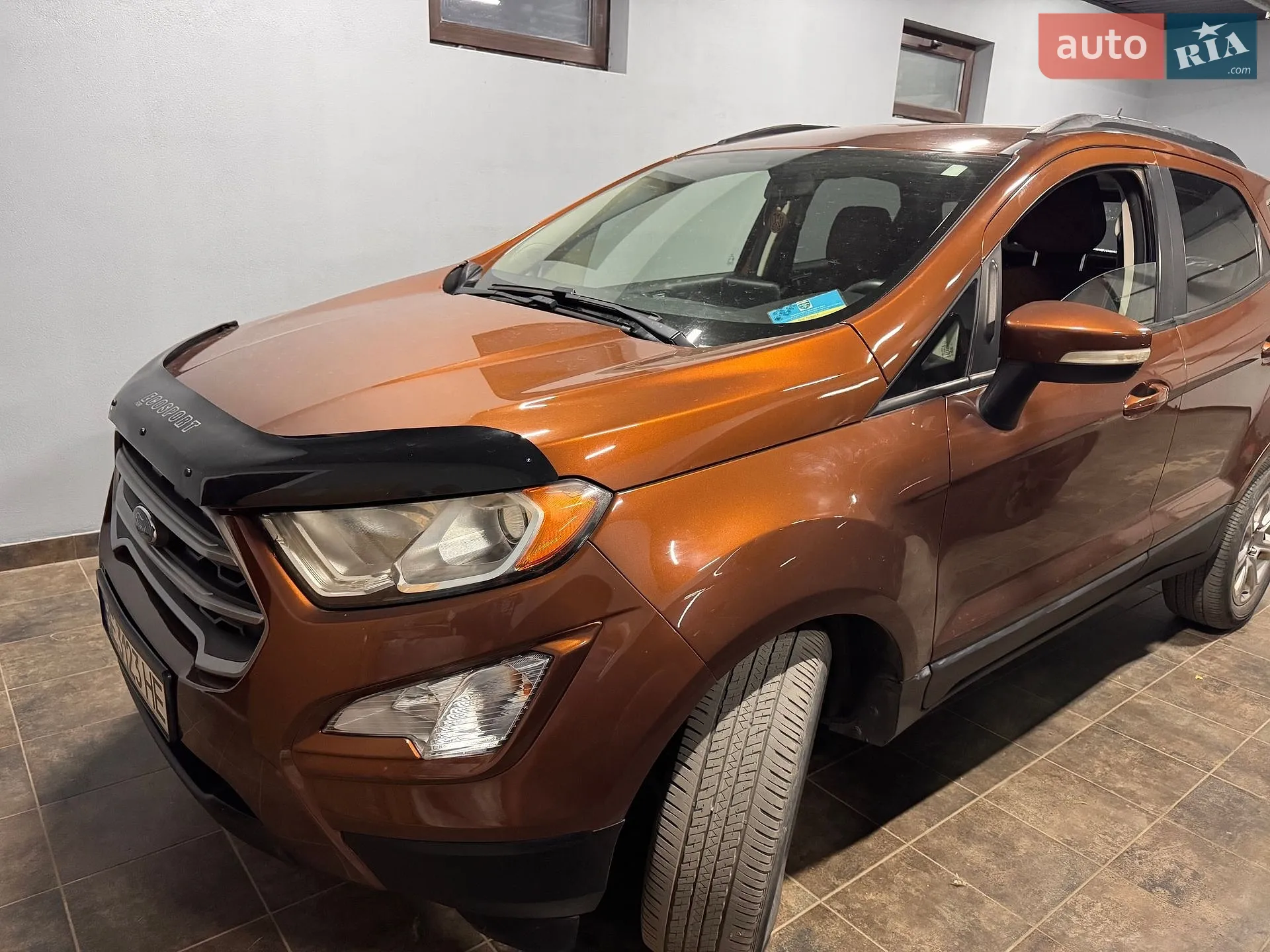 2019 Ford EcoSport - мініатюра 2