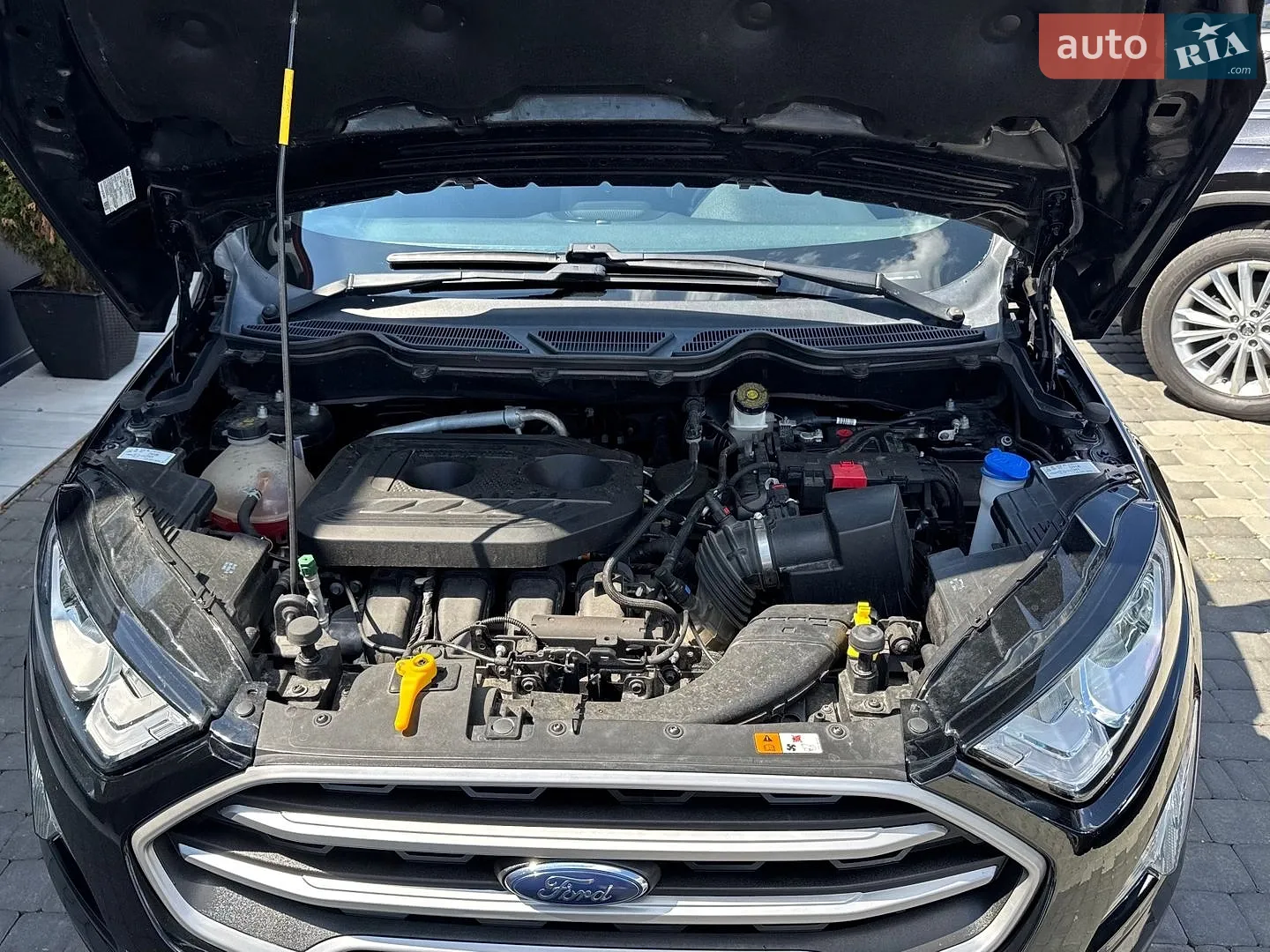 2022 Ford EcoSport - мініатюра 10