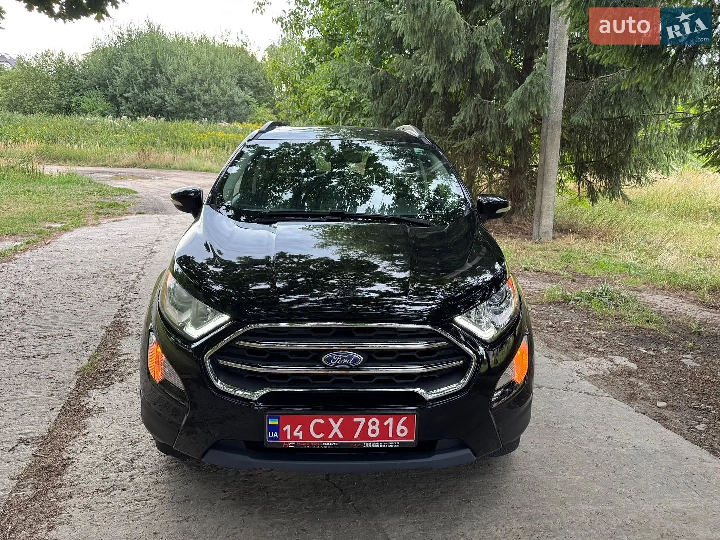 2019 Ford EcoSport - мініатюра 3
