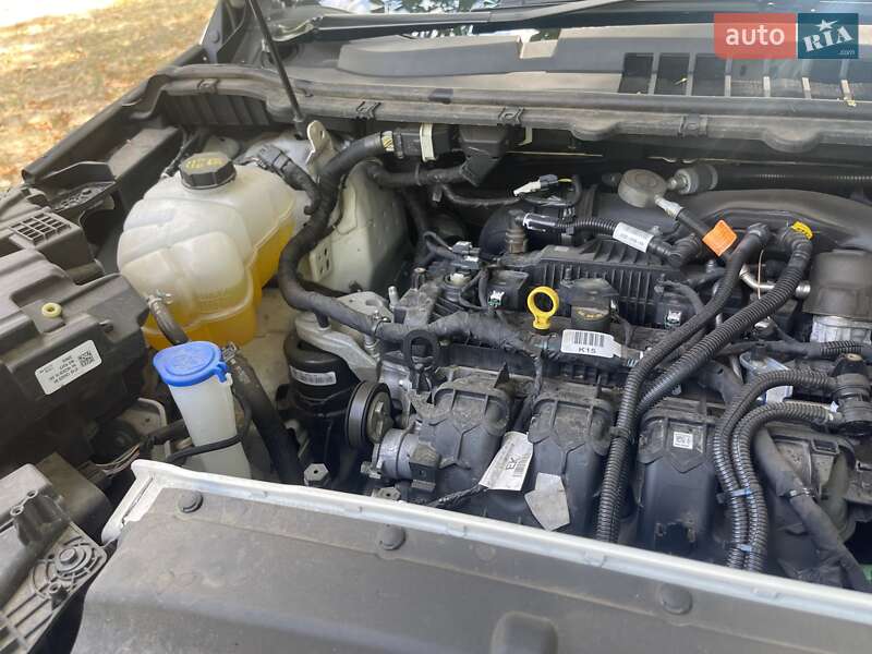 Внедорожник / Кроссовер Ford Edge 2020 в Никополе