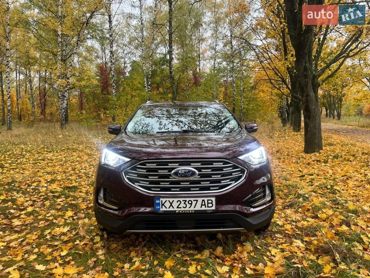 2019 Ford Edge - мініатюра 19