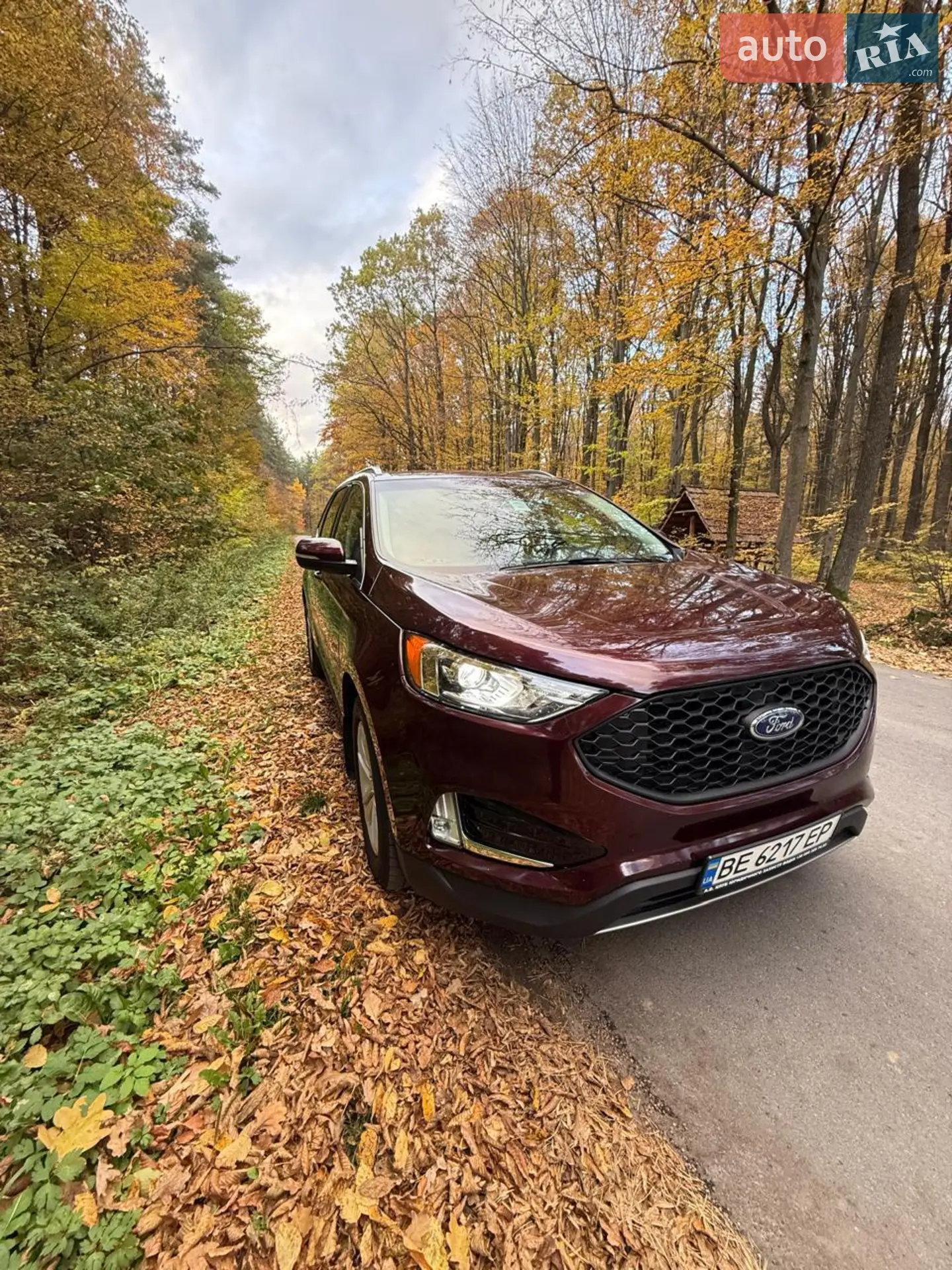 2019 Ford Edge - мініатюра 3