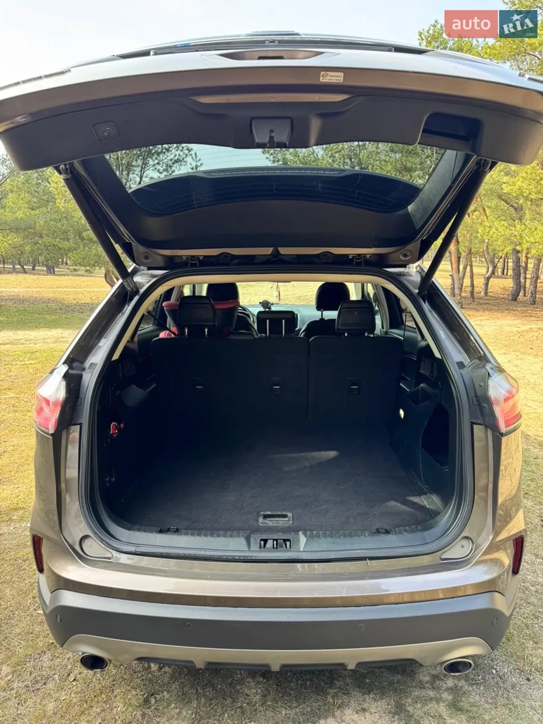 2019 Ford Edge - мініатюра 8