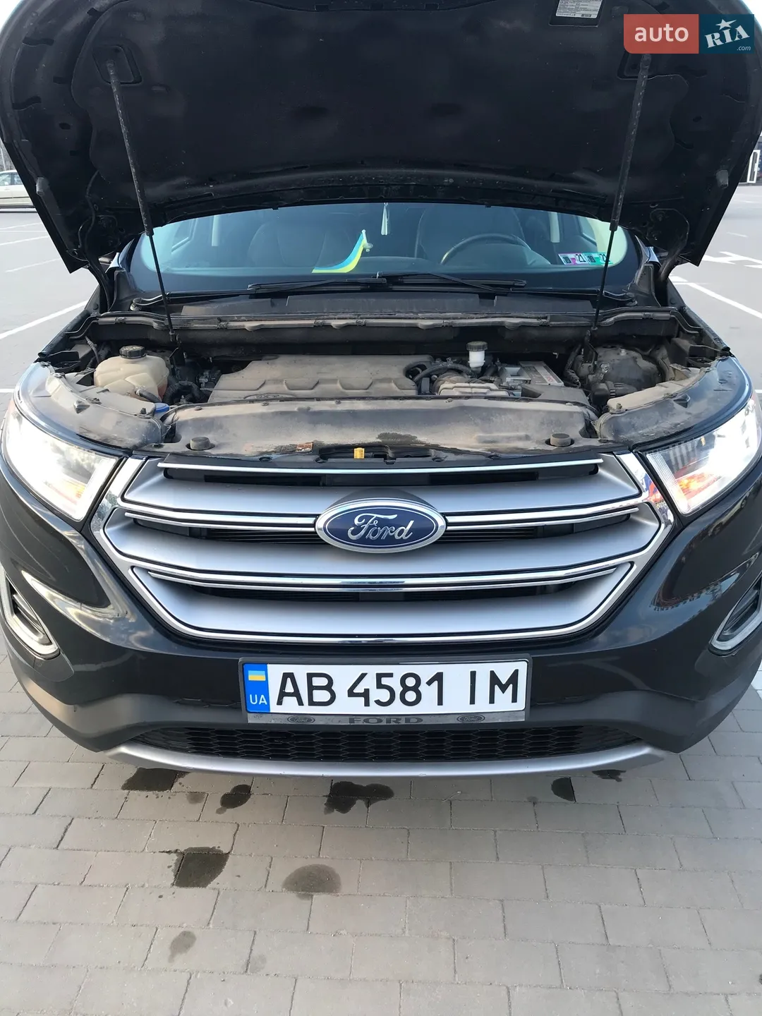 2018 Ford Edge - мініатюра 13