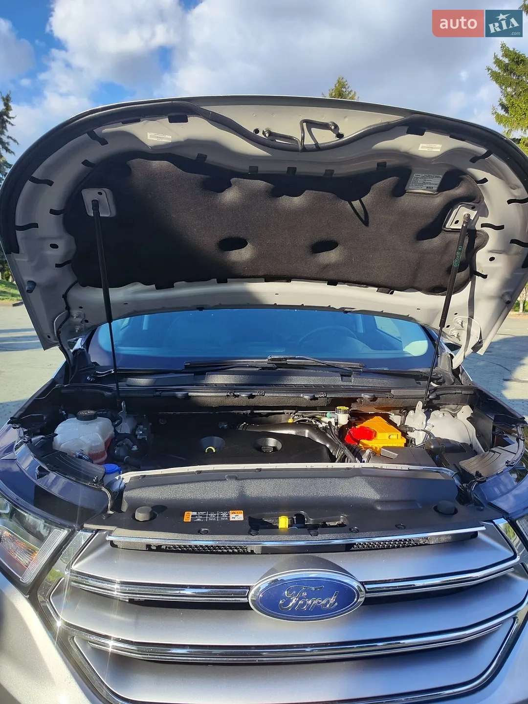2018 Ford Edge - мініатюра 49