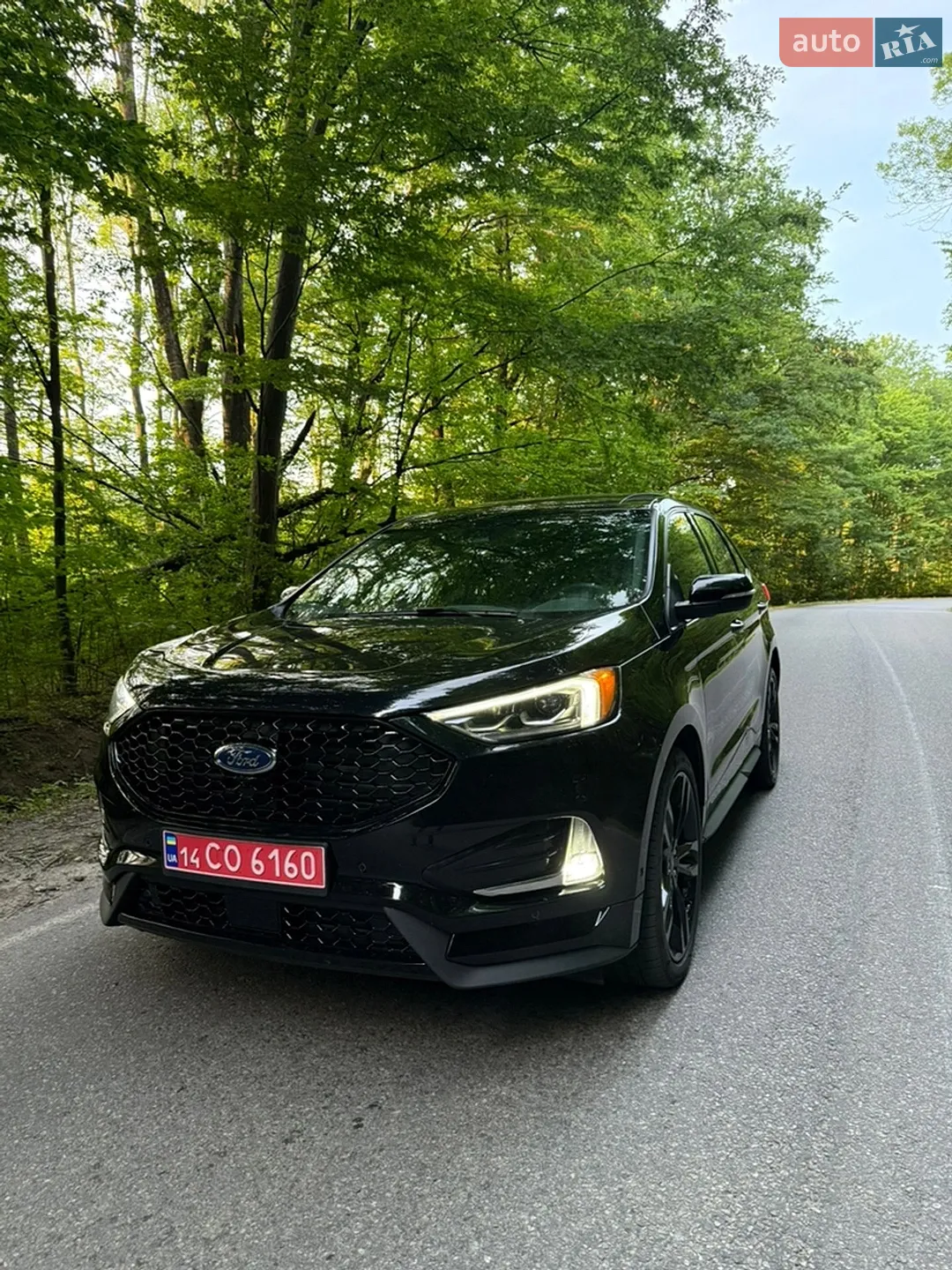 2019 Ford Edge - мініатюра 2