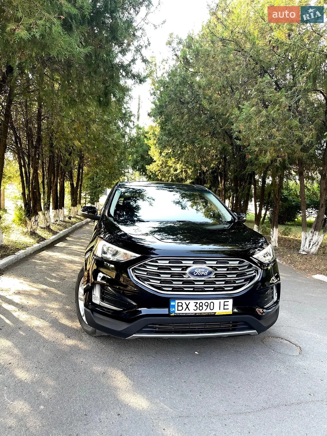 2019 Ford Edge - мініатюра 2