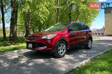 Внедорожник / Кроссовер Ford Escape 2015 в Нововолынске