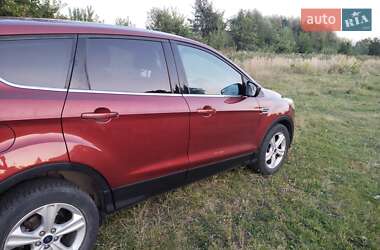 Позашляховик / Кросовер Ford Escape 2016 в Шептицькому