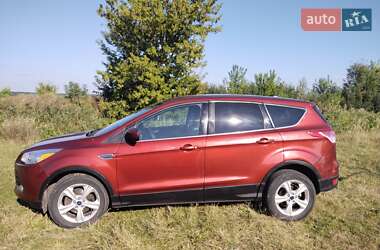 Позашляховик / Кросовер Ford Escape 2016 в Шептицькому