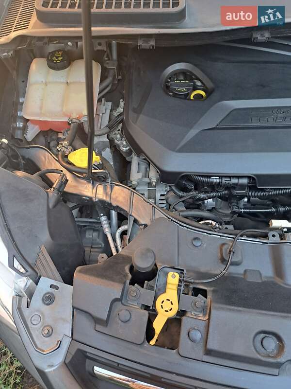 Внедорожник / Кроссовер Ford Escape 2014 в Запорожье