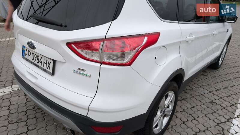 Позашляховик / Кросовер Ford Escape 2013 в Чернівцях