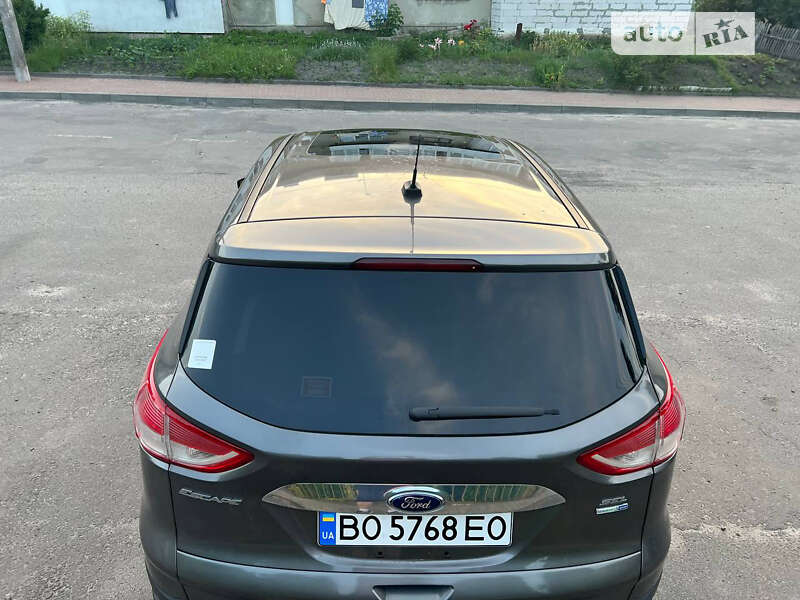 Внедорожник / Кроссовер Ford Escape 2013 в Золочеве