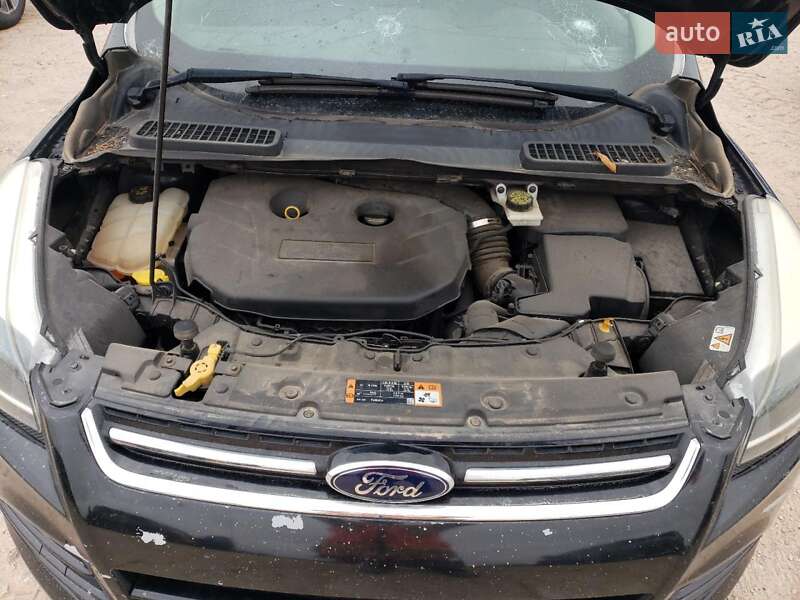 Внедорожник / Кроссовер Ford Escape 2014 в Львове фото 12 Внедорожник / Кроссовер Ford Escape 2014 в Львове