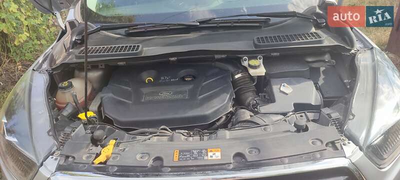 Внедорожник / Кроссовер Ford Escape 2016 в Харькове