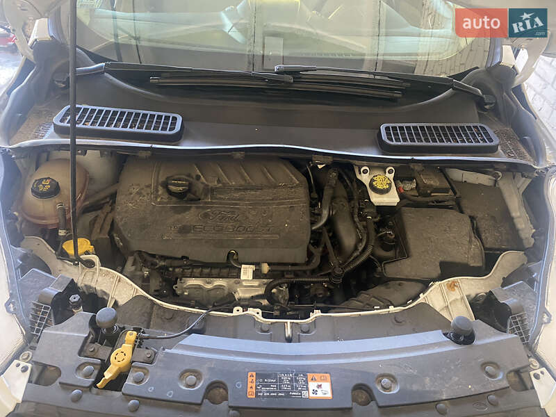 Позашляховик / Кросовер Ford Escape 2018 в Чернігові