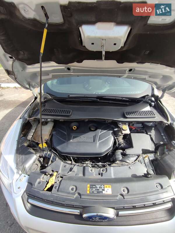 Внедорожник / Кроссовер Ford Escape 2015 в Полтаве фото 22 Внедорожник / Кроссовер Ford Escape 2015 в Полтаве